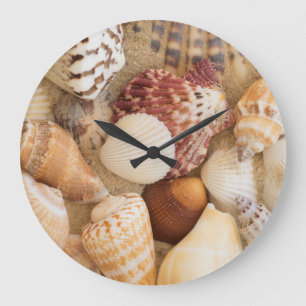 Grande Horloge Ronde Disposition de coquillage