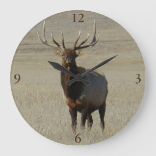Grande Horloge Ronde E59 Élan mâle gros taureau