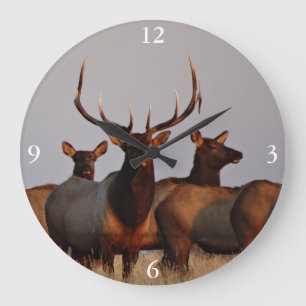 Grande Horloge Ronde E66 Élan mâle et femelles