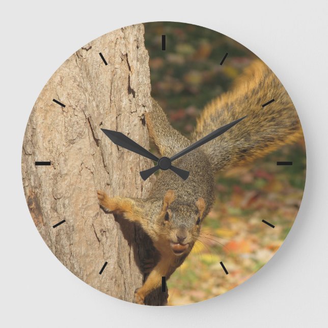 Grande Horloge Ronde Écureuil avec la noix de muscade (Recto)