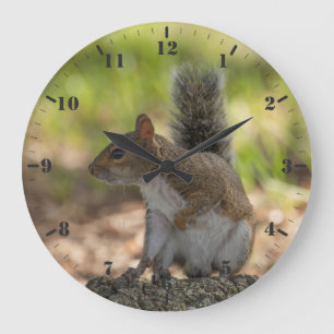 Grande Horloge Ronde Écureuil gris mignon animal sauvage