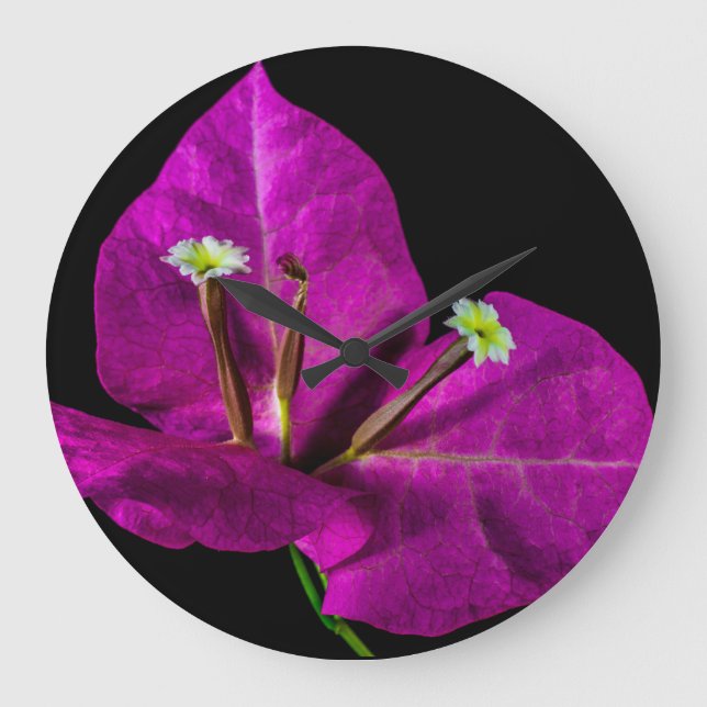 Grande Horloge Ronde Élégant Bougainvillier violet (Recto)