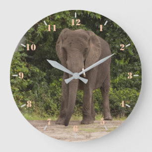 Grande Horloge Ronde éléphant africain