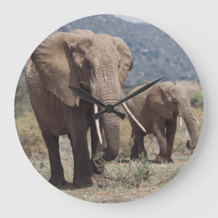 Grande Horloge Ronde Éléphant de mère marchant avec le veau d'élép