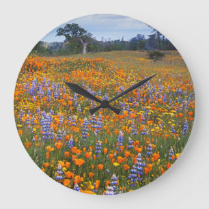 Grande Horloge Ronde États-Unis, Californie, Santa Margarita, Avenales