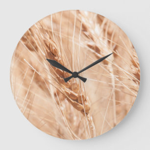Grande Horloge Ronde États-Unis, Kansas, blé à la récolte
