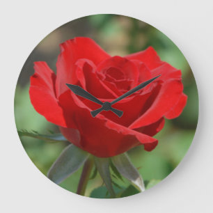 Grande Horloge Ronde États-Unis, Kansas, Rose rouge