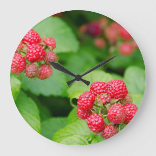 Grande Horloge Ronde États-Unis, Massachusetts, Nantucket. Framboises m