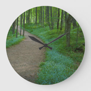Grande Horloge Ronde États-Unis, Michigan. Sentier Miner's Falls