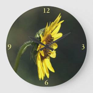 Grande Horloge Ronde F43 Fleur sauvage jaune Susan aux yeux noirs