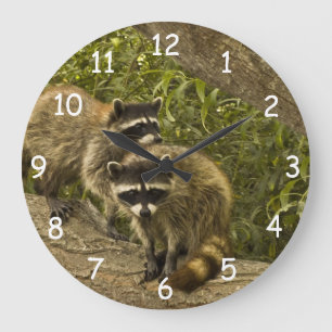 Grande Horloge Ronde Famille de raton laveur