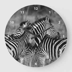Grande Horloge Ronde Famille de zèbre