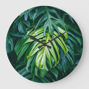 Grande Horloge Ronde Feuilles tropicaux : arrière - plan de nature somb