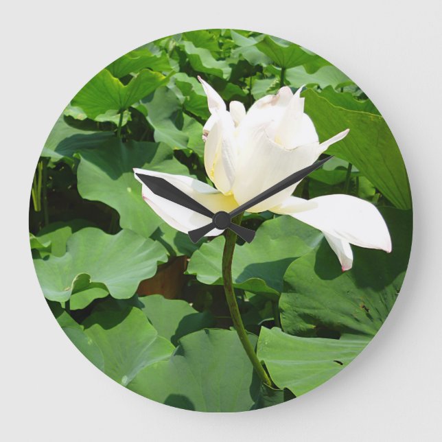 Grande Horloge Ronde Fleur Lotus blanche (Recto)