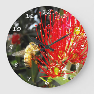 Grande Horloge Ronde Flowering Pohutukawa Tree