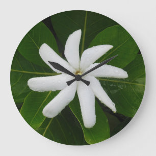 Grande Horloge Ronde Gardénia de Tahitian