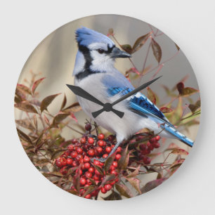 Grande Horloge Ronde Geai bleu dans le bambou céleste Nandina