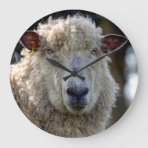 "George" l'horloge de photo de moutons