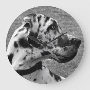 GRANDE HORLOGE RONDE GRAND DANE