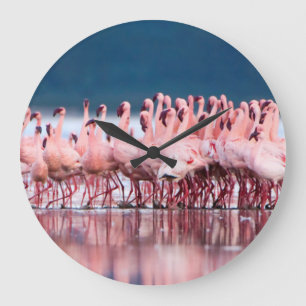 Grande Horloge Ronde Grand Groupe De Flamants Nains