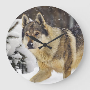 Grande Horloge Ronde Grand Loup sauvage gris dans la neige