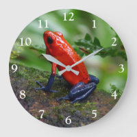 Grenouille rouge et bleu poison