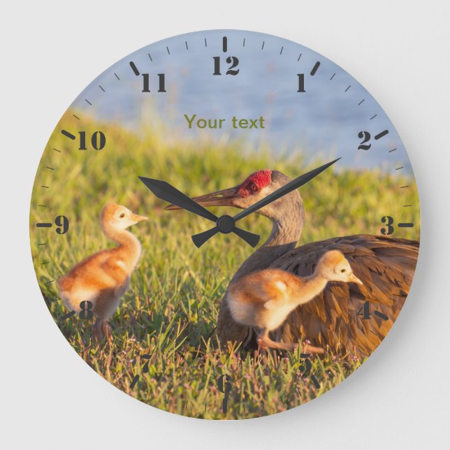 Grande Horloge Ronde Grue de Sandhill aux colts (Recto)