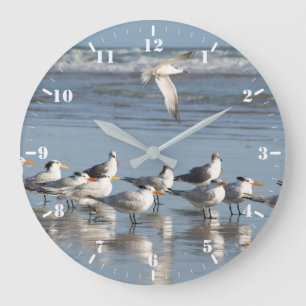 Grande Horloge Ronde Gulls
