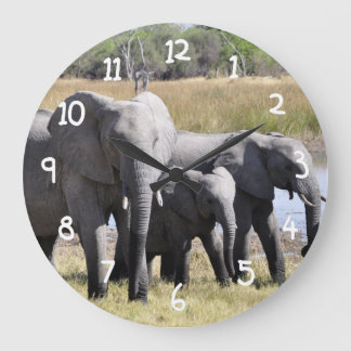 Grande Horloge Ronde Herbes d'éléphants d'Afrique
