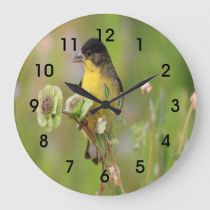 Grande Horloge Ronde Homme Goldfinch perché sur des fleurs