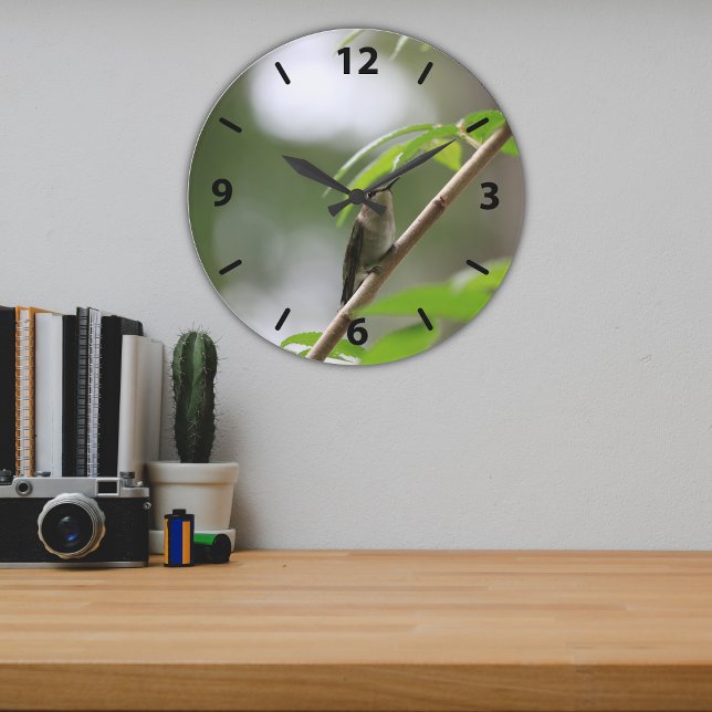 Grande Horloge Ronde Hummingbird (Créateur téléchargé)