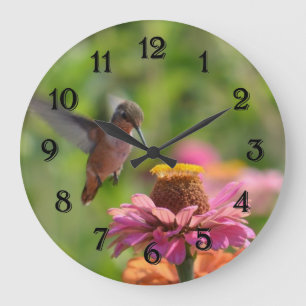 Grande Horloge Ronde Hummingbird