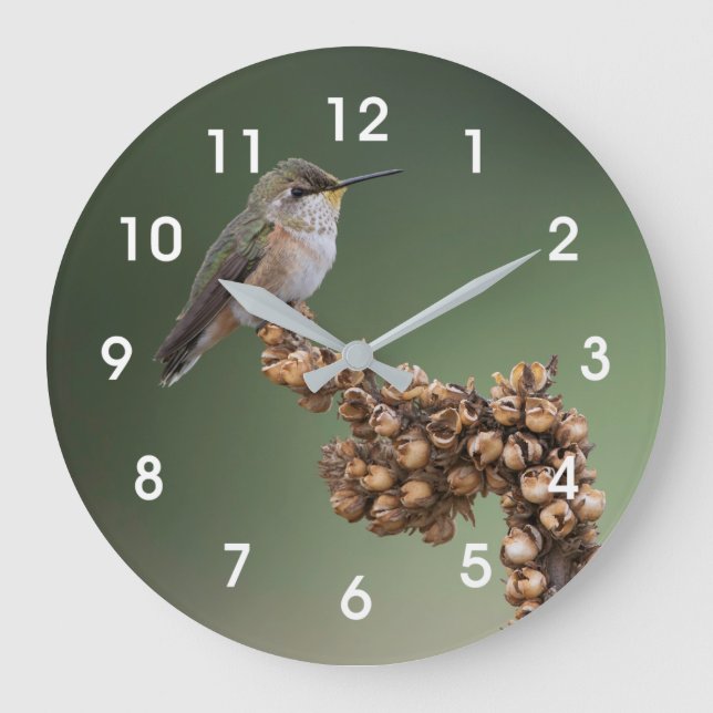 Grande Horloge Ronde Hummingbird  (Recto)