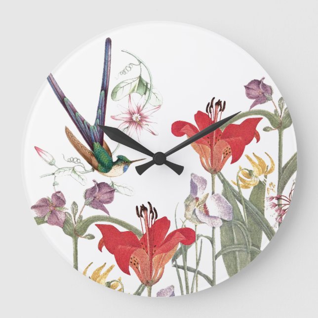 Grande Horloge Ronde Hummingbird Bird (Recto)
