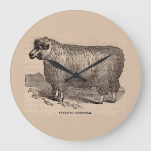 Grande Horloge Ronde Impression de mouton Cotswold d'un an du 19e siècl