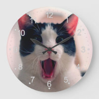Jeune chat surpris fou faire de grands yeux