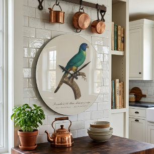 Grande Horloge Ronde Jeune loriquet arc-en-ciel Trichoglossus moluccanu