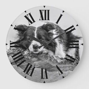 Grande Horloge Ronde Joli chien Border Collie