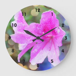 Grande Horloge Ronde Joli jardin fleuri rose. Photo botanique florale