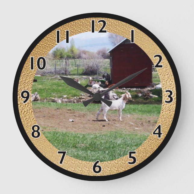 Grande Horloge Ronde Kid at Red Hut Pasture (Recto)