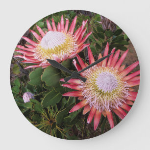 Grande Horloge Ronde King Protea, Helderberg