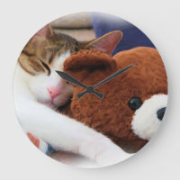 Kitty avec le nounours