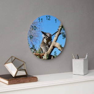 Grande Horloge Ronde Koala A Le Temps De Réfléchir À La Vie,