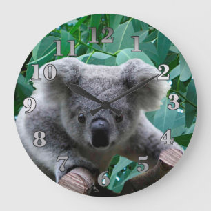 Grande Horloge Ronde Koala et eucalyptus