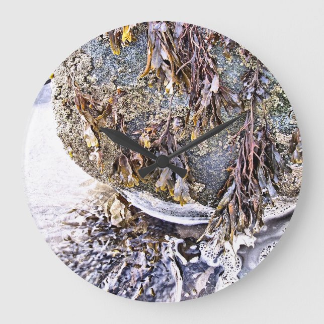 GRANDE HORLOGE RONDE LA PLAGE (Recto)