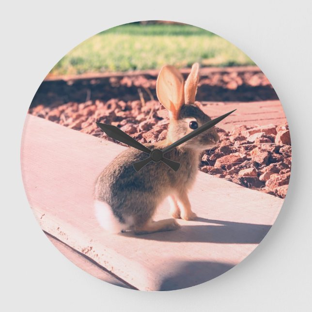 Grande Horloge Ronde lapin lapin lapin photo Printemps de Pâques (Recto)