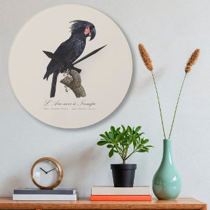 Grande Horloge Ronde L'Ara Noir a Trompe / Palm Cockatoo
