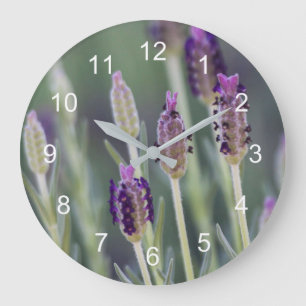 Grande Horloge Ronde Lavande mexicaine