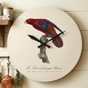 Grande Horloge Ronde Le Lori à franges bleues 