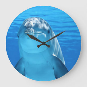 Grande Horloge Ronde Le visage du dauphin de près